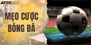 6+ Mẹo Cược Bóng Đá Hiệu Quả Nhất Và Ví Dụ Dễ Hiểu